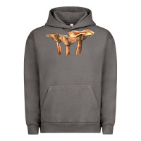 Pigment Tornado lactarius rufus mushroom Urban Hoodie - LillyAllenDesigns