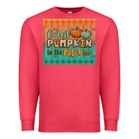 Cardinal cutest pumpkin in the patch tumbler Premium Sweatshirt - BundleAndBundleShop