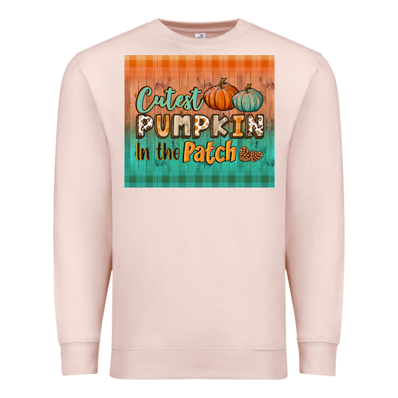 Cutest Pumpkin In The Patch Tumbler Premium Sweatshirt by BundleAndBundleShop | Teevron
