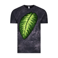 Cloud Black Dumb Cane Leaf Vintage Tee - LillyAllenDesigns