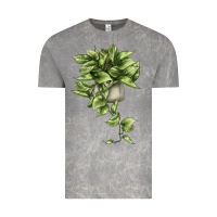 Cloud Rock Golden Pothos Vintage Tee - LillyAllenDesigns