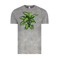 Cloud Rock Dumb Cane Vintage Tee - LillyAllenDesigns