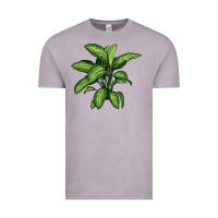 Vintage Zinc Dumb Cane Vintage Tee - LillyAllenDesigns