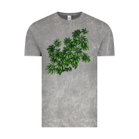 Cloud Rock Botanical Schefflera Illustrations Vintage Tee - LillyAllenDesigns