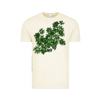 Vintage Arctic Botanical Schefflera Illustrations Vintage Tee - LillyAllenDesigns