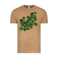 Botanical Schefflera Illustrations Vintage Tee | Teevron