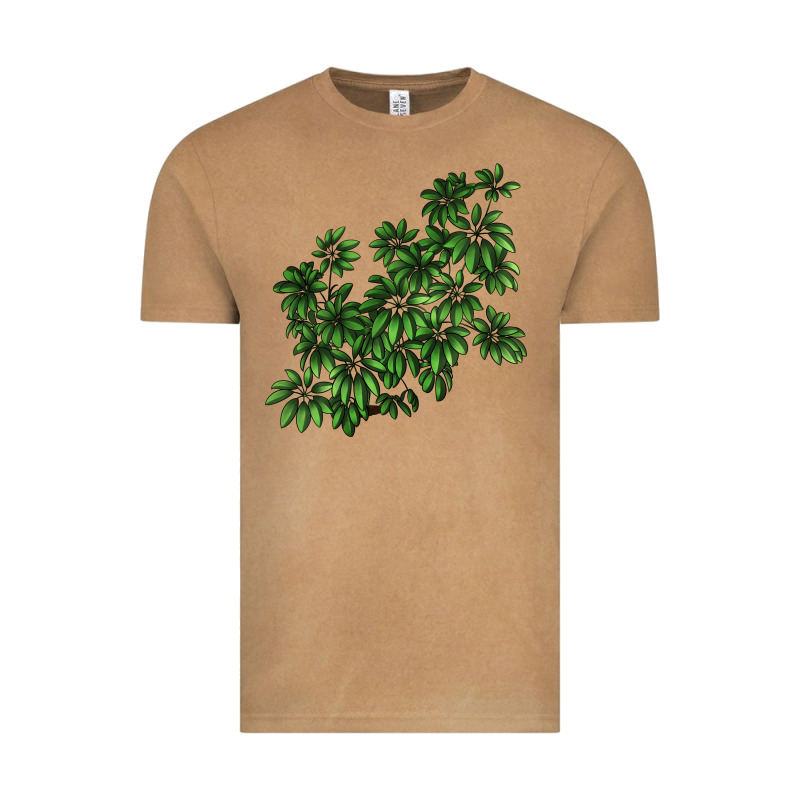 Botanical Schefflera Illustrations Vintage Tee by LillyAllenDesigns | Teevron