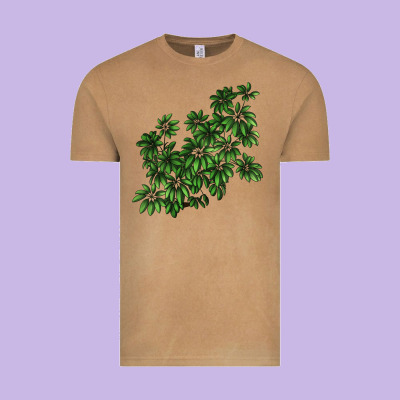 Botanical Schefflera Illustrations Vintage Tee Designed By Lillyallendesigns
