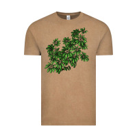 Vintage Coffee Botanical Schefflera Illustrations Vintage Tee - LillyAllenDesigns