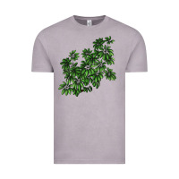 Vintage Zinc Botanical Schefflera Illustrations Vintage Tee - LillyAllenDesigns