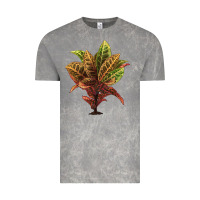 Cloud Rock Croton Vintage Tee - LillyAllenDesigns