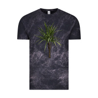Cloud Black Dracaena Marginata Vintage Tee - LillyAllenDesigns