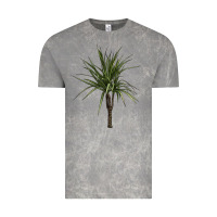 Cloud Rock Dracaena Marginata Vintage Tee - LillyAllenDesigns