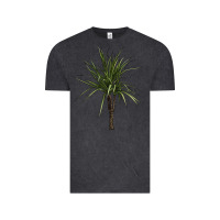 Vintage Black Dracaena Marginata Vintage Tee - LillyAllenDesigns