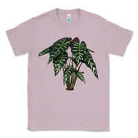 Lilac Amazon Elephant Ear Classic Tee - LillyAllenDesigns