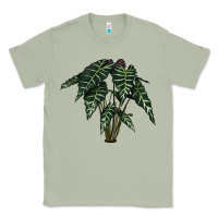 Matcha Amazon Elephant Ear Classic Tee - LillyAllenDesigns