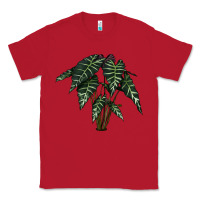 Red Amazon Elephant Ear Classic Tee - LillyAllenDesigns