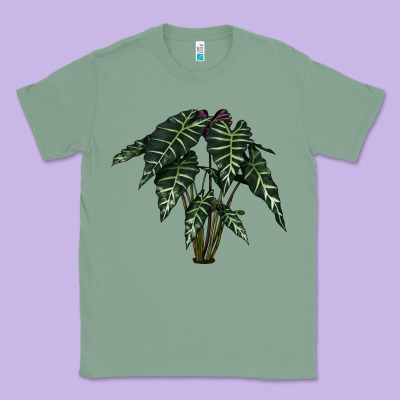 Amazon Elephant Ear Classic Tee Designed By Lillyallendesigns