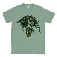 Sage Amazon Elephant Ear Classic Tee - LillyAllenDesigns