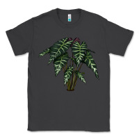 Smoke Amazon Elephant Ear Classic Tee - LillyAllenDesigns