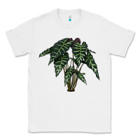 White Amazon Elephant Ear Classic Tee - LillyAllenDesigns