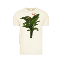 Vintage Arctic the bird of paradise Vintage Tee - LillyAllenDesigns