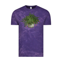 Cloud Purple Dwarf Pomegranate Tree Illustrations Vintage Tee - LillyAllenDesigns