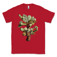 Red Cholla Tree Cactus Classic Tee - LillyAllenDesigns