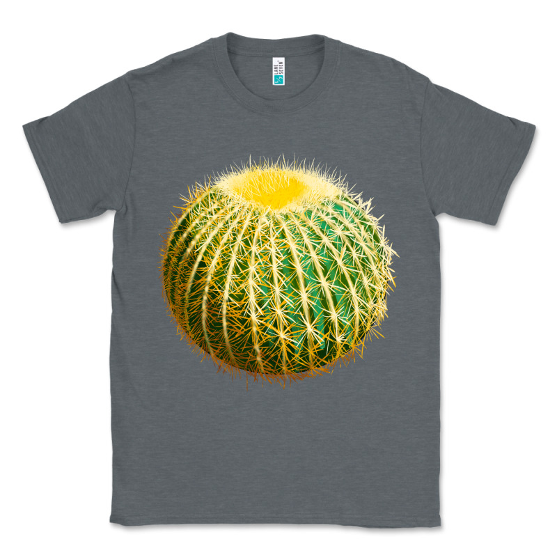 Golden Barrel Cactus Classic Tee by LillyAllenDesigns | Teevron