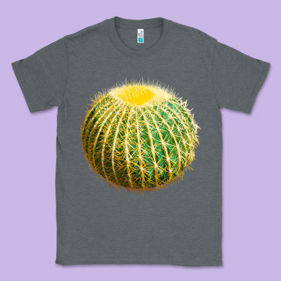 Golden Barrel Cactus Classic Tee Designed By Lillyallendesigns