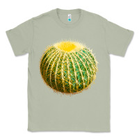 Matcha Golden Barrel Cactus Classic Tee - LillyAllenDesigns