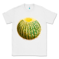 White Golden Barrel Cactus Classic Tee - LillyAllenDesigns