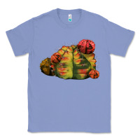 Colony Blue Gymnocalycium Variegated Cactus Classic Tee - LillyAllenDesigns