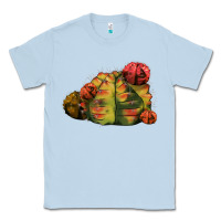 Dusty Blue Gymnocalycium Variegated Cactus Classic Tee - LillyAllenDesigns