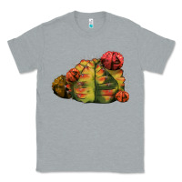 Heather Grey Gymnocalycium Variegated Cactus Classic Tee - LillyAllenDesigns