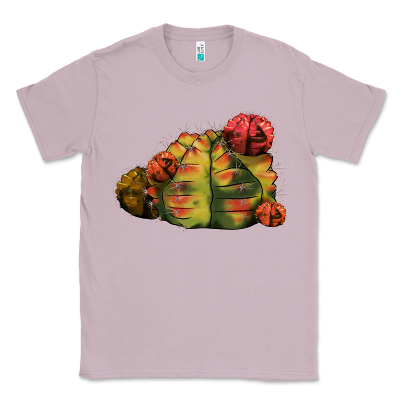 Gymnocalycium Variegated Cactus Classic Tee by LillyAllenDesigns | Teevron