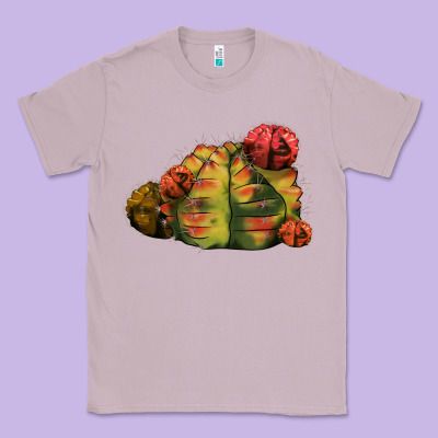 Gymnocalycium Variegated Cactus Classic Tee Designed By Lillyallendesigns