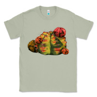Matcha Gymnocalycium Variegated Cactus Classic Tee - LillyAllenDesigns