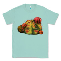 Seafoam Gymnocalycium Variegated Cactus Classic Tee - LillyAllenDesigns