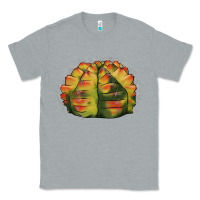 Heather Grey Gymnocalycium Variegated Cactus Classic Tee - LillyAllenDesigns