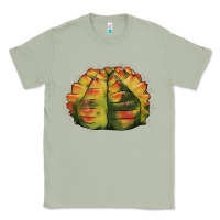 Matcha Gymnocalycium Variegated Cactus Classic Tee - LillyAllenDesigns