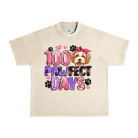 Sandshell 100 pawfect days Urban Heavy Tee - Artiststas