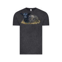 Vintage Black Black Angus Calf Illustrations Vintage Tee - LillyAllenDesigns