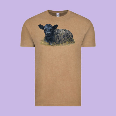 Black Angus Calf Illustrations Vintage Tee Designed By Lillyallendesigns