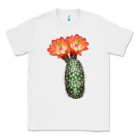 White King Cup Cactus Classic Tee - LillyAllenDesigns
