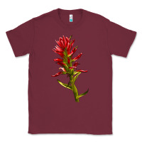 Burgundy Indian Paintbrush Classic Tee - LillyAllenDesigns