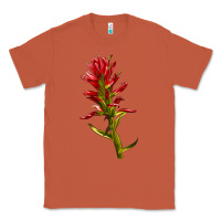Copper Indian Paintbrush Classic Tee - LillyAllenDesigns