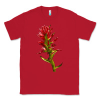 Red Indian Paintbrush Classic Tee - LillyAllenDesigns