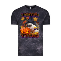 Cloud Black Halloween Hedgehog Trick Or Treat Vintage Tee - LillyAllenDesigns