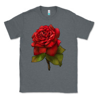 Charcoal Heather Oklahoma Rose Illustrations Classic Tee - LillyAllenDesigns
